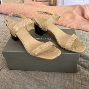 Everlane double-strap block heel sandal